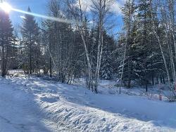 Lot 74-6 Honey ST  Miramichi, NB E1N 3P9