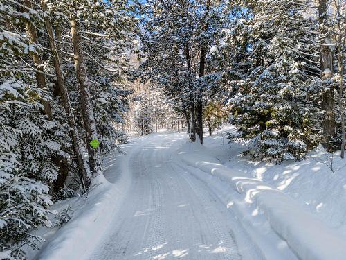 Extérieur - 525 Rue Des Cyprès, Sainte-Adèle, QC - Outdoor