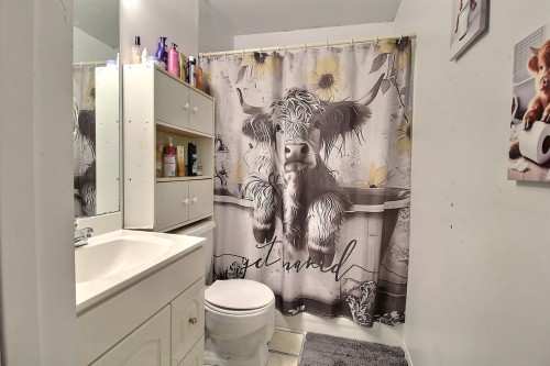 Salle de bains - 1063  - 1070 2E Avenue, Val-D'Or, QC - Indoor Photo Showing Bathroom