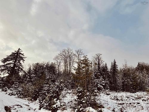 Rosette Road, Albany New, NS 