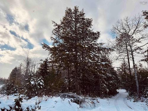 Rosette Road, Albany New, NS 