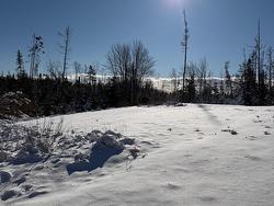 32 Birch Hill Lane  Caribou River, NS B0K 1H0