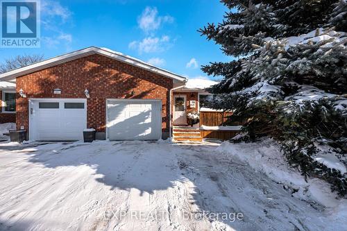 55 WILLIAM STREET  Orangeville, ON L9W 2R8