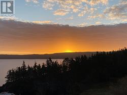 176 Main Road  Normans Cove, NL A0B 2T0