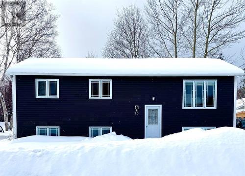 20 Second Avenue, Pasadena, NL - Outdoor