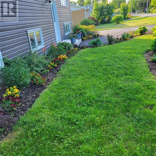 20 Second Avenue, Pasadena, NL - Outdoor