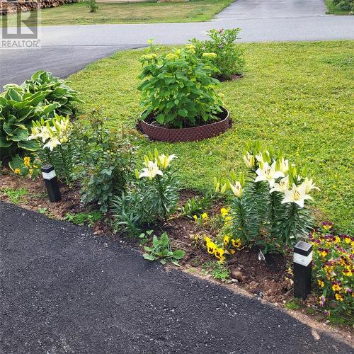 20 Second Avenue, Pasadena, NL - Outdoor