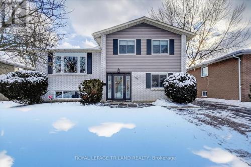 156 ANTRIM CRESCENT  London South (South Y), ON N6E 1G8