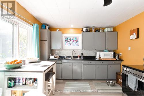 61 Briscoe Street W, London South (South E), ON - Indoor Photo Showing Kitchen
