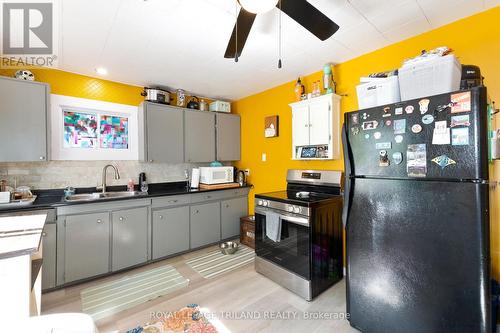61 Briscoe Street W, London South (South E), ON - Indoor Photo Showing Kitchen With Double Sink