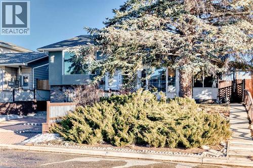 Landscaped and engulfed with a beautiful spruce tree - 7840 20A Street Se, Calgary, AB - Outdoor