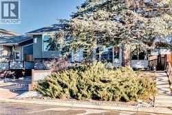 Landscaped and engulfed with a beautiful spruce tree - 