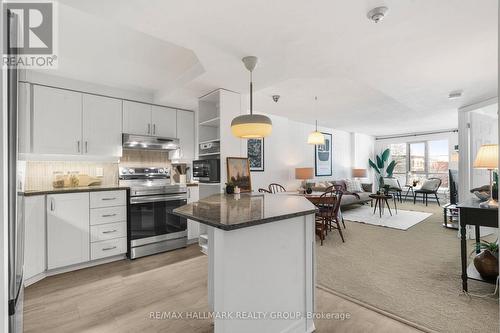 211 - 540 Cambridge Street S, Ottawa, ON - Indoor Photo Showing Kitchen With Upgraded Kitchen