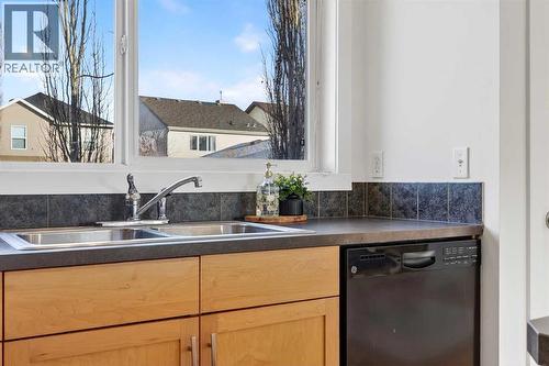 109 Copperstone Grove Se, Calgary, AB - Indoor Photo Showing Kitchen With Double Sink