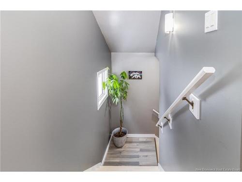 394 Royal Rd, Fredericton, NB 