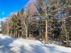 Lot A Honey ST  Miramichi, NB E1N 3P9