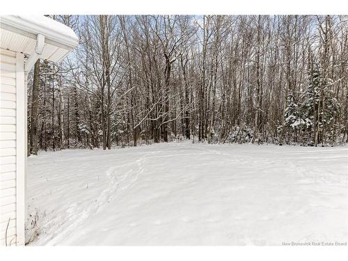 332 Ryan, Moncton, NB 