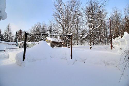 Cour - 1790 Rue Bourassa, Val-D'Or, QC - Outdoor With View