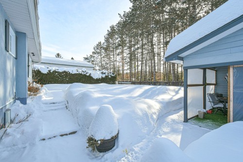 Cour - 10 Av. David, Saint-Sauveur, QC - Outdoor