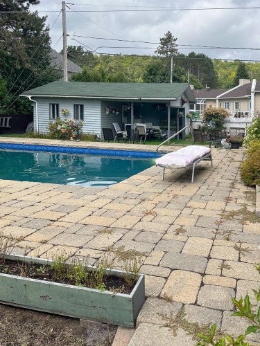 Piscine - 10 Av. David, Saint-Sauveur, QC - Outdoor With In Ground Pool