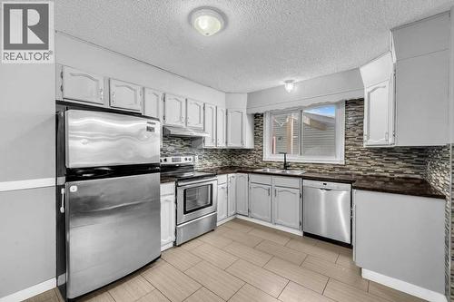 1140 Abbeydale Drive Ne, Calgary, AB - Indoor Photo Showing Kitchen With Double Sink With Upgraded Kitchen