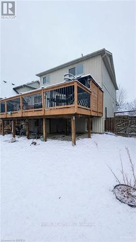 252 Berry Street, Shelburne, ON - Outdoor With Deck Patio Veranda