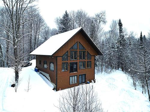 Façade - 169 Ch. Roy, Amherst, QC - Outdoor