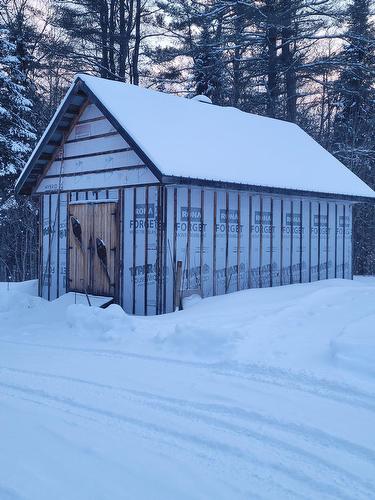 Remise - 169 Ch. Roy, Amherst, QC - Outdoor