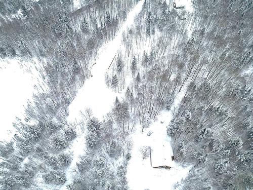 Terre/Terrain - 169 Ch. Roy, Amherst, QC - Outdoor