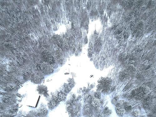 Terre/Terrain - 169 Ch. Roy, Amherst, QC - Outdoor