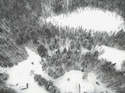 Terre/Terrain - 169 Ch. Roy, Amherst, QC - Outdoor With View