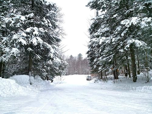 Terre/Terrain - 169 Ch. Roy, Amherst, QC - Outdoor