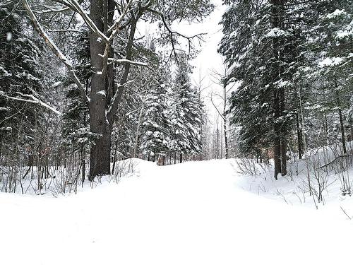 Terre/Terrain - 169 Ch. Roy, Amherst, QC - Outdoor