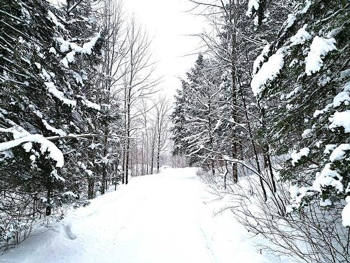 Terre/Terrain - 169 Ch. Roy, Amherst, QC - Outdoor