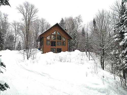 Façade - 169 Ch. Roy, Amherst, QC - Outdoor