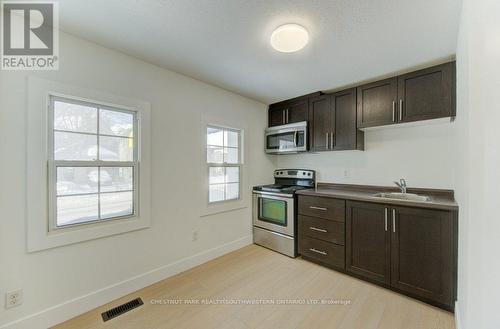 190 Lancaster Street E, Kitchener, ON - Indoor Photo Showing Kitchen