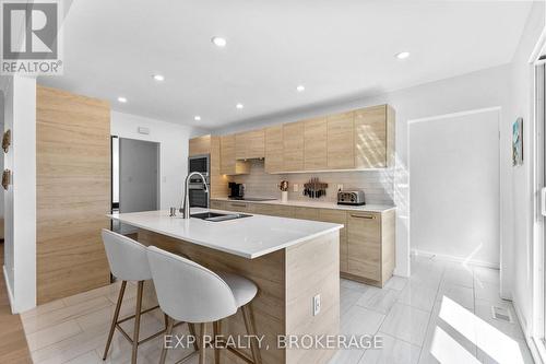 1502 Farnsworth Avenue, Ottawa, ON - Indoor Photo Showing Kitchen With Double Sink