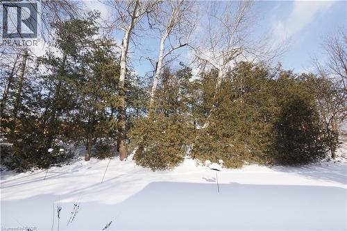 249 Murdock Avenue, Waterloo, ON - Outdoor With View