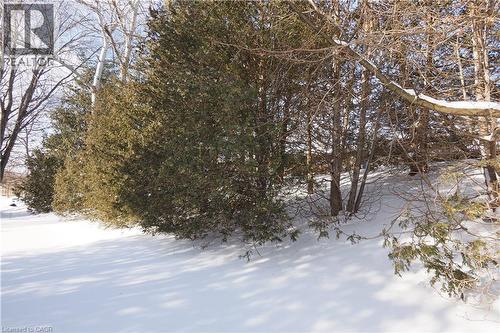 249 Murdock Avenue, Waterloo, ON - Outdoor With View