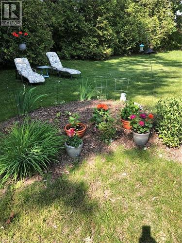 249 Murdock Avenue, Waterloo, ON - Outdoor