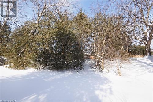 249 Murdock Avenue, Waterloo, ON - Outdoor With View