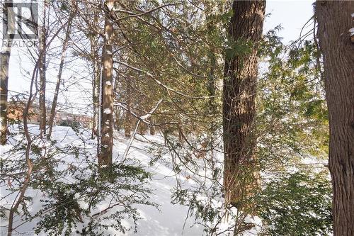 249 Murdock Avenue, Waterloo, ON - Outdoor