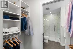 Primary walk-through closet - 