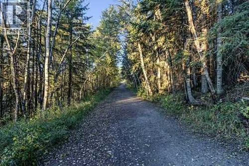 41 Evergreen Mount Sw, Calgary, AB - Outdoor With View