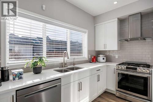 63 Masters Crescent Se, Calgary, AB - Indoor Photo Showing Kitchen With Double Sink With Upgraded Kitchen