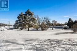 Large treed backyard - 