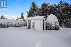 Manicured mature hedge surrounds property - 