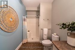 Walk-in shower in ensuite - 
