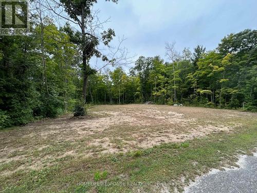 56 Poplar Drive W, Tiny, ON 