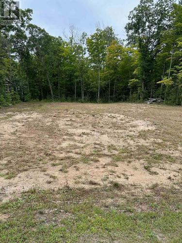 56 Poplar Drive W, Tiny, ON 